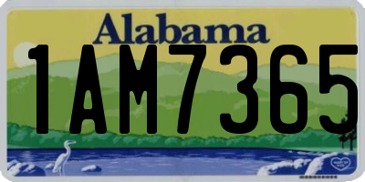 AL license plate 1AM7365