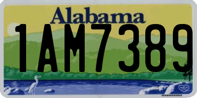 AL license plate 1AM7389