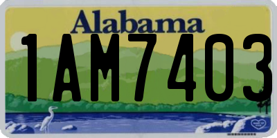 AL license plate 1AM7403