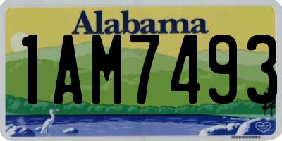 AL license plate 1AM7493