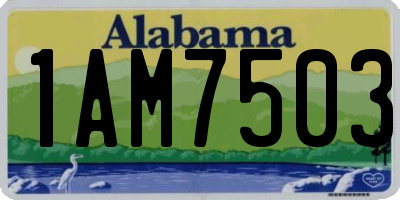 AL license plate 1AM7503
