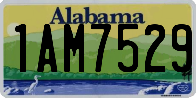 AL license plate 1AM7529