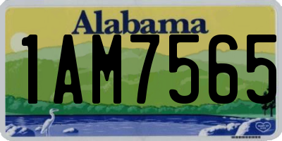AL license plate 1AM7565