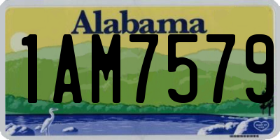 AL license plate 1AM7579