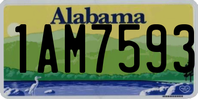 AL license plate 1AM7593
