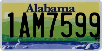 AL license plate 1AM7599
