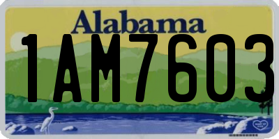 AL license plate 1AM7603