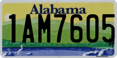 AL license plate 1AM7605