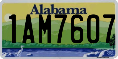 AL license plate 1AM7607