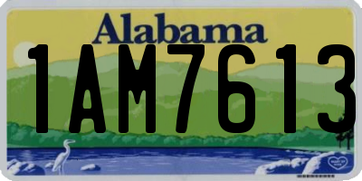 AL license plate 1AM7613