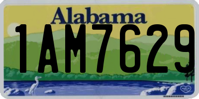 AL license plate 1AM7629