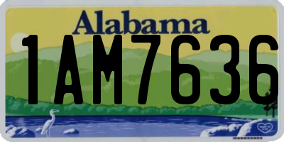 AL license plate 1AM7636