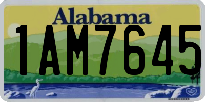 AL license plate 1AM7645