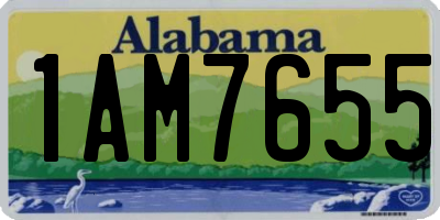 AL license plate 1AM7655