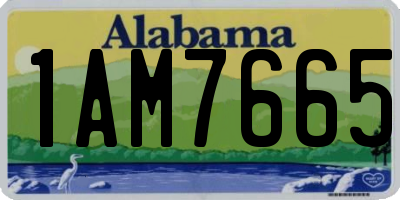 AL license plate 1AM7665