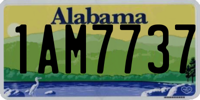 AL license plate 1AM7737