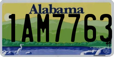 AL license plate 1AM7763