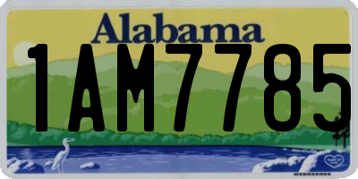AL license plate 1AM7785