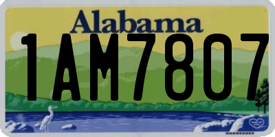 AL license plate 1AM7807