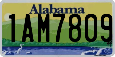 AL license plate 1AM7809