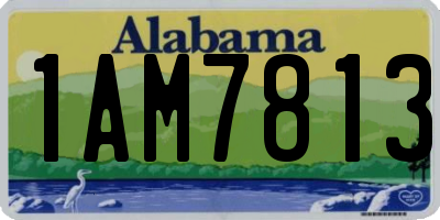 AL license plate 1AM7813
