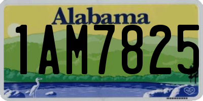 AL license plate 1AM7825