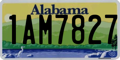 AL license plate 1AM7827