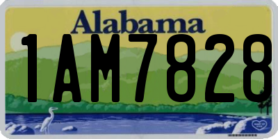 AL license plate 1AM7828