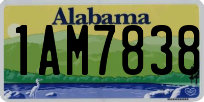 AL license plate 1AM7838