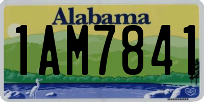 AL license plate 1AM7841