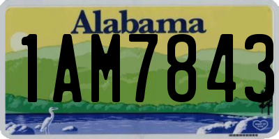 AL license plate 1AM7843