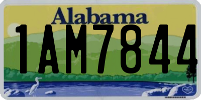 AL license plate 1AM7844