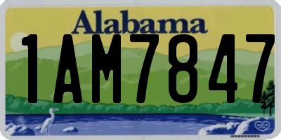AL license plate 1AM7847