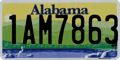 AL license plate 1AM7863