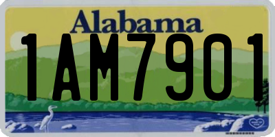 AL license plate 1AM7901
