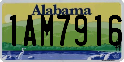 AL license plate 1AM7916