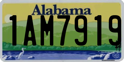 AL license plate 1AM7919
