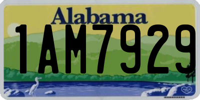 AL license plate 1AM7929
