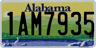 AL license plate 1AM7935