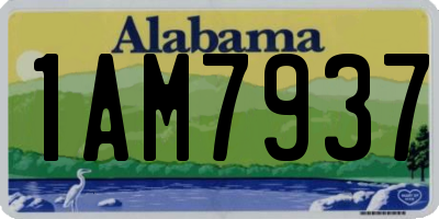 AL license plate 1AM7937