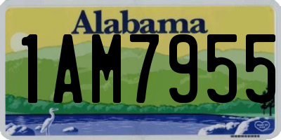 AL license plate 1AM7955
