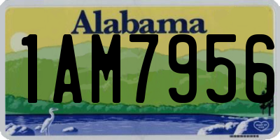 AL license plate 1AM7956