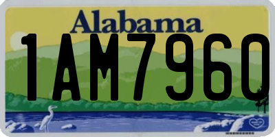 AL license plate 1AM7960