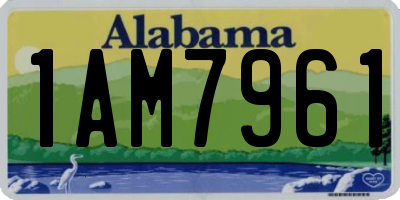 AL license plate 1AM7961