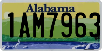 AL license plate 1AM7963
