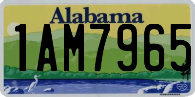 AL license plate 1AM7965