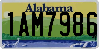 AL license plate 1AM7986