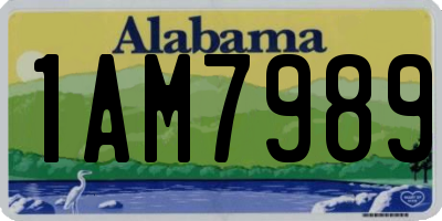 AL license plate 1AM7989