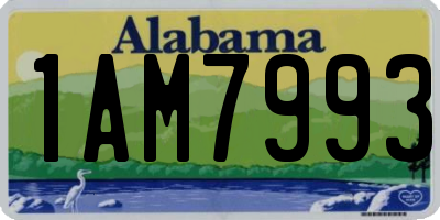 AL license plate 1AM7993