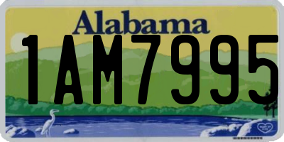 AL license plate 1AM7995